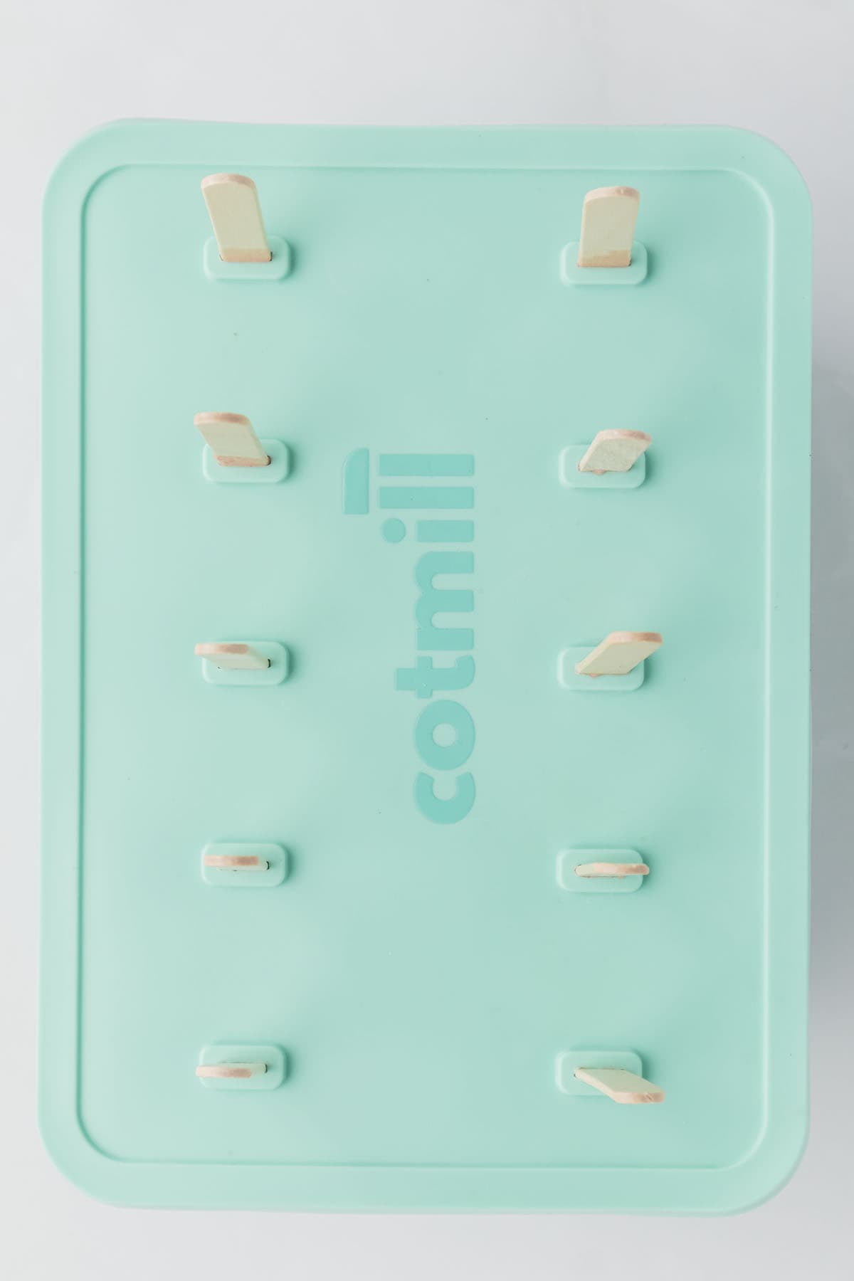 Popsicle mold with sticks.