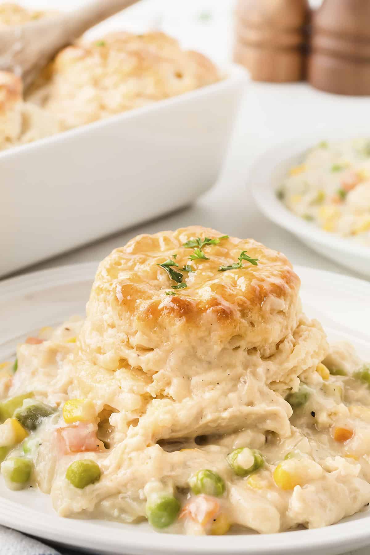 Plate full of chicken pot pie with biscuits.