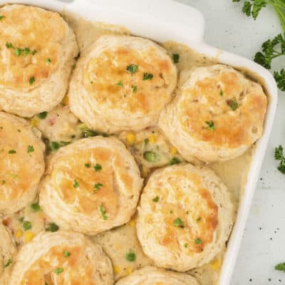 Chicken pot pie with biscuits in white casserole dish.