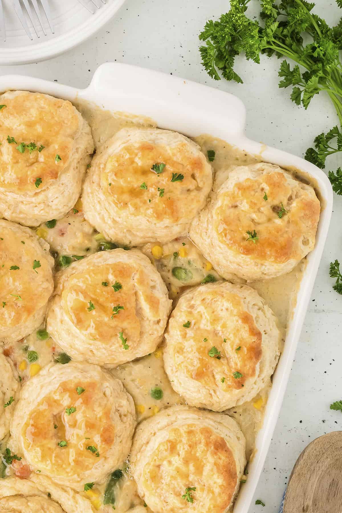 Chicken pot pie with biscuits in white casserole dish.