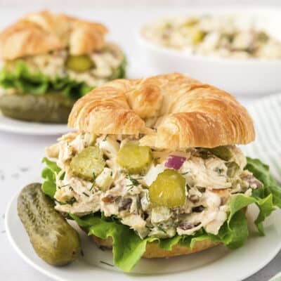 Dill pickle chicken salad on croissant on white plate.