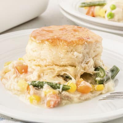 Homemade chicken pot pie with biscuit on white plate.