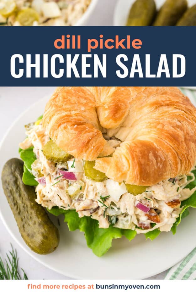 Chicken salad topped with pickle slices on croissant.