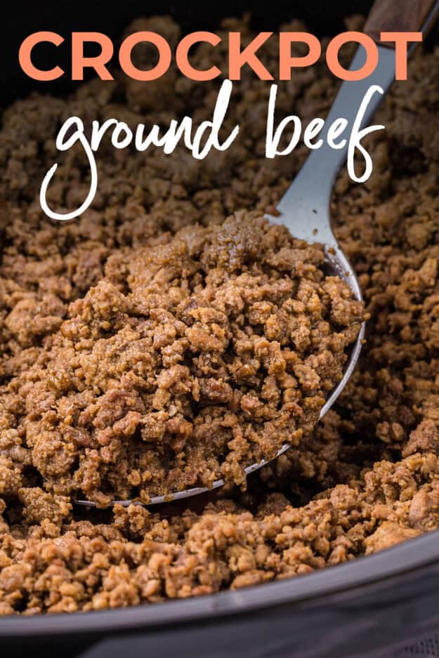 Crockpot ground beef on spoon.