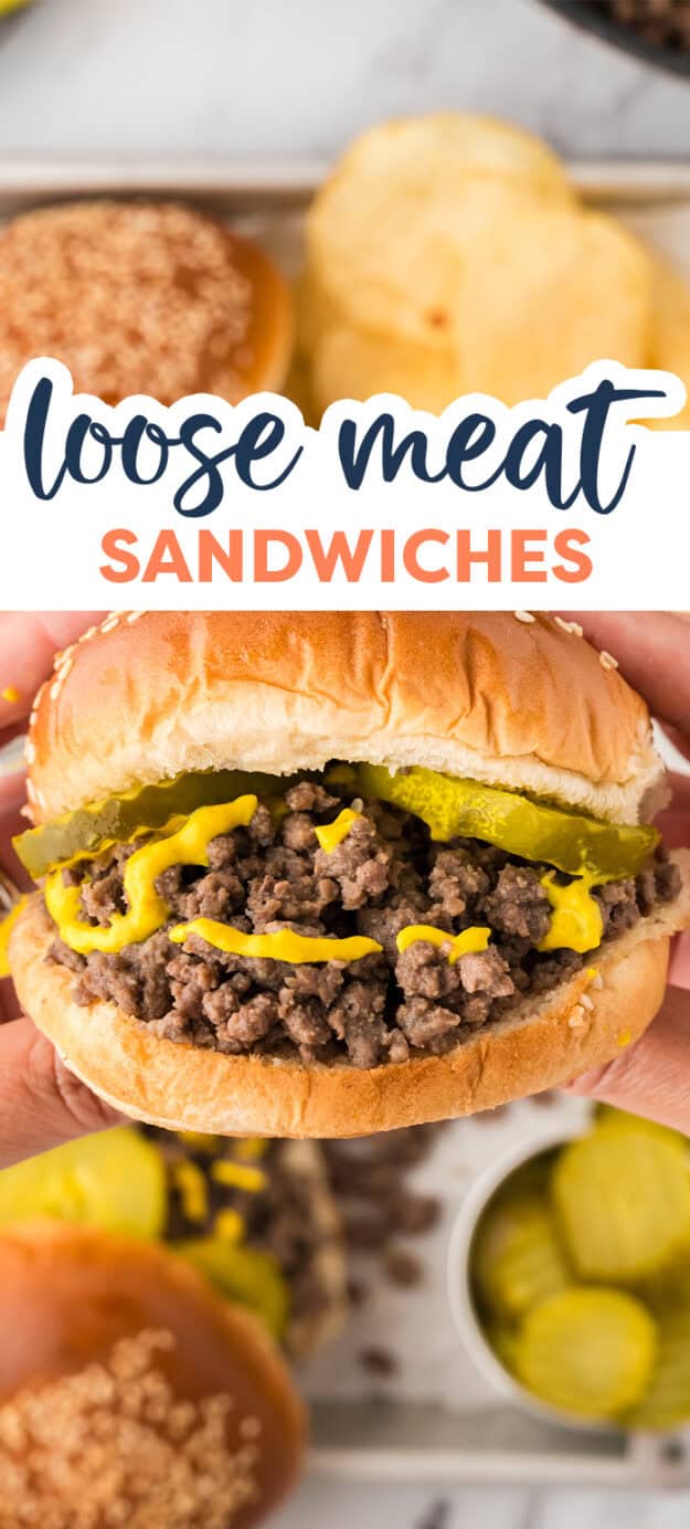 Hand holding a loose meat sandwich.