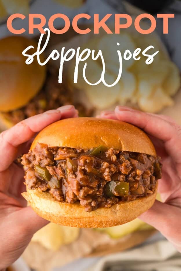 Hands holding a sloppy joe sandwich.