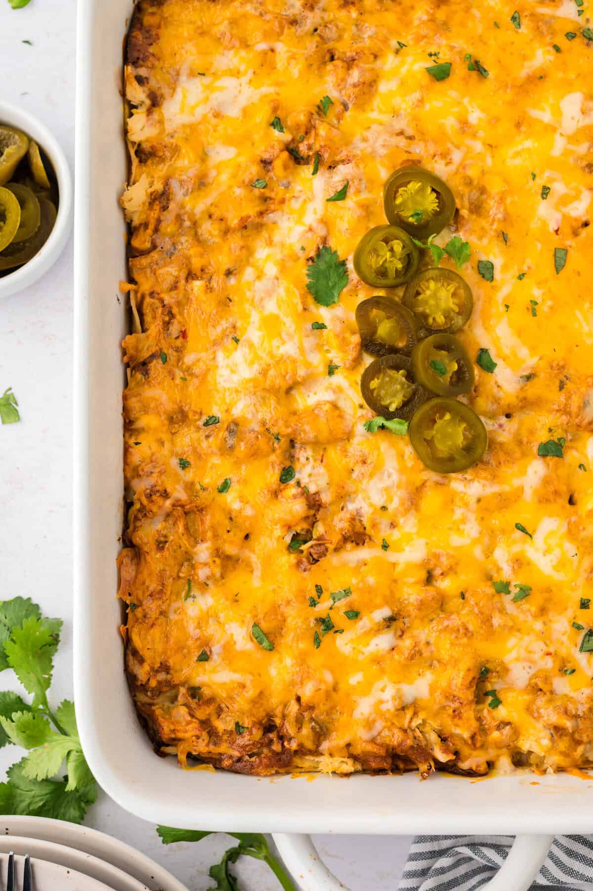 Sour cream enchilada casserole in white baking dish.