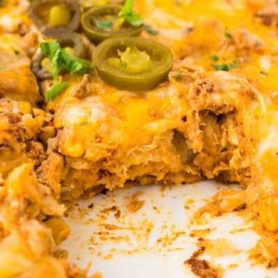 Sour cream chicken enchilada casserole in baking dish.