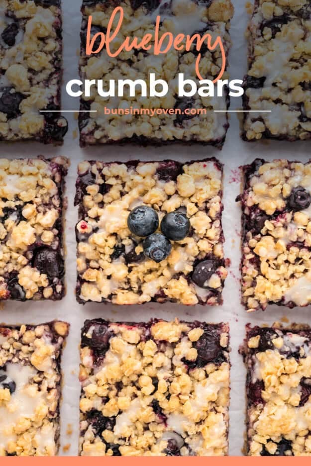 Overhead view of blueberry bars.