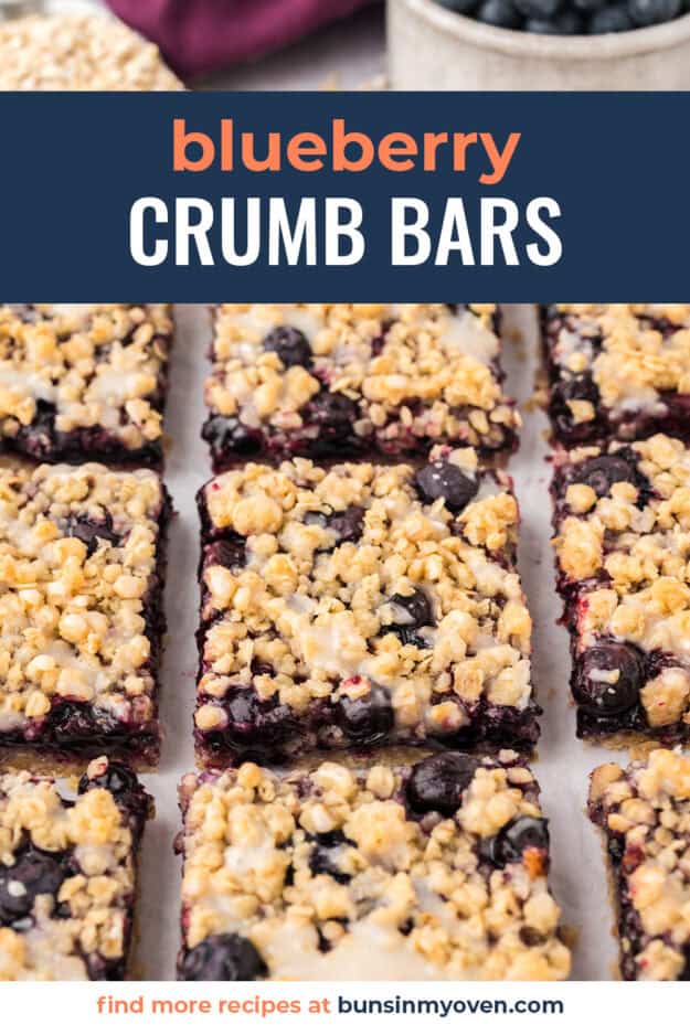 Blueberry crumble bars on counter.
