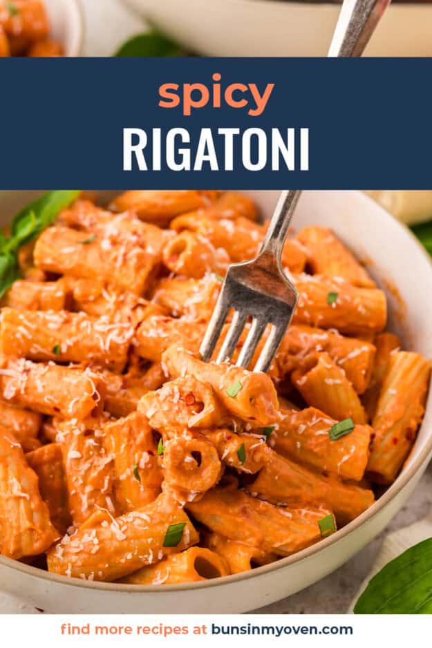 Spicy rigatoni recipe in bowl.