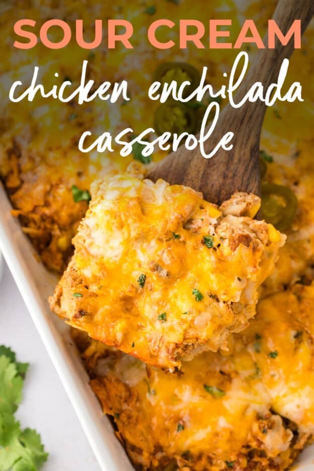 Enchilada casserole on spatula.