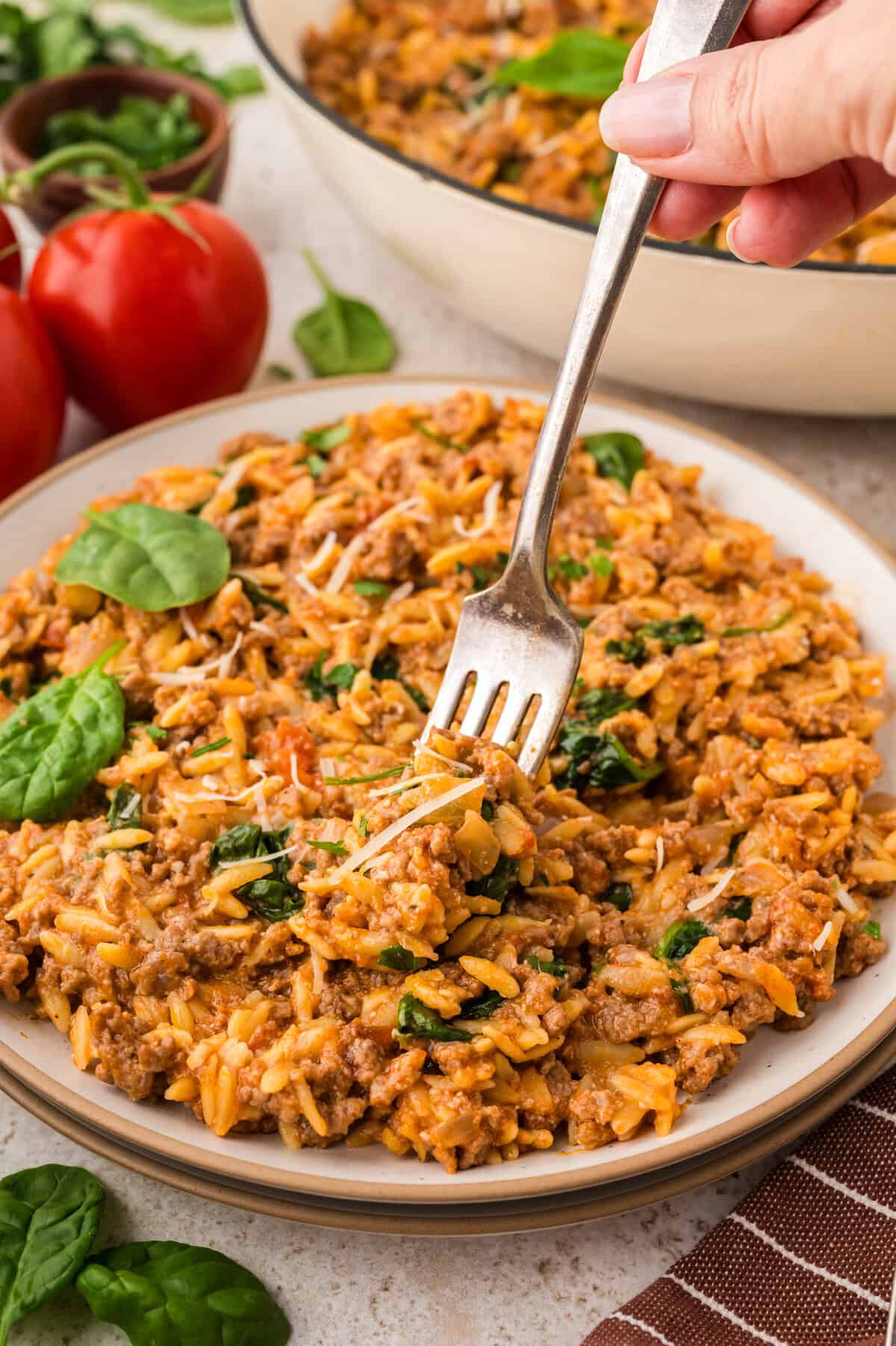 Plate full of ground beef and orzo recipe.
