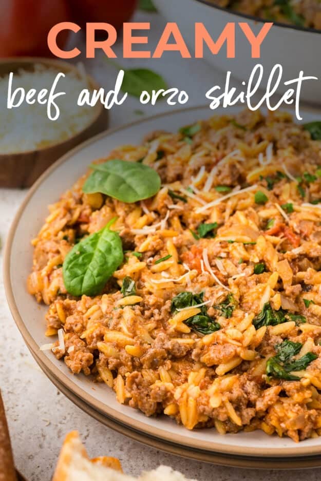 Plate full of creamy beef and orzo recipe.