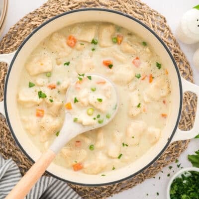 Pot full of chicken and dumplings.