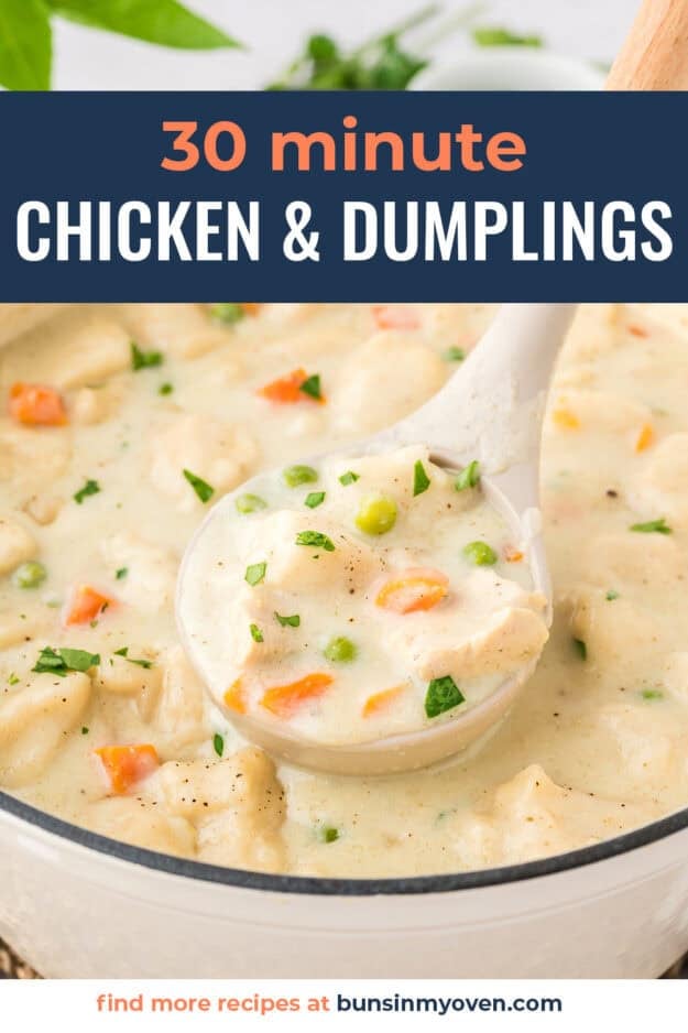 Ladle full of homemade chicken and dumplings.
