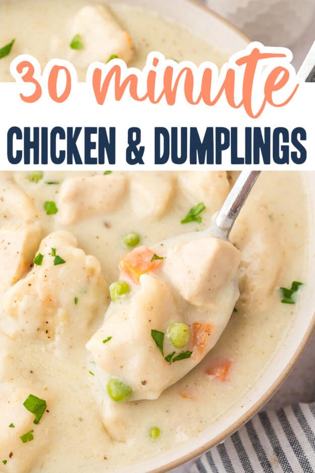 Spoon full of chicken and dumplings.