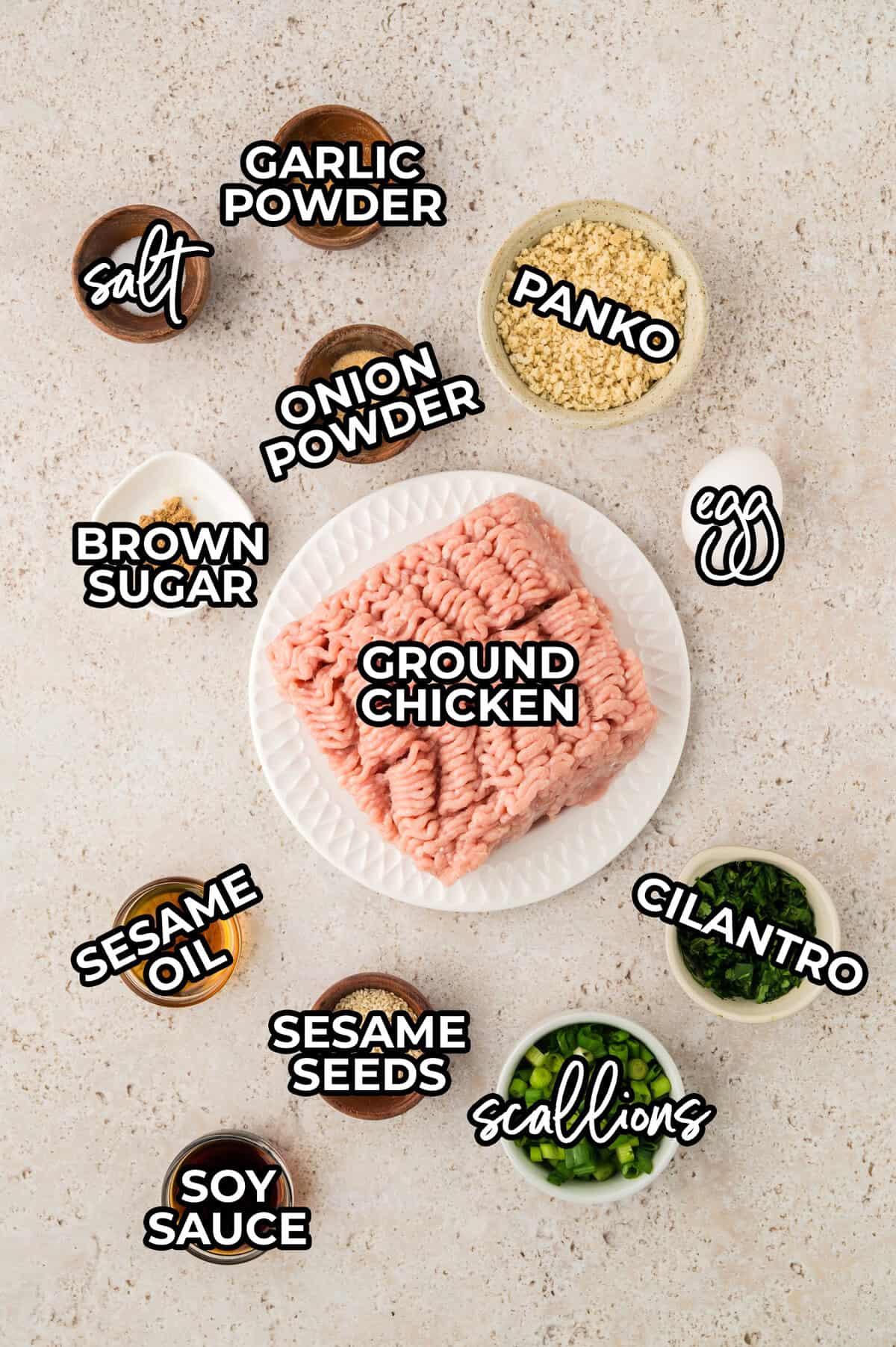 Ingredients for Asian chicken meatball recipe.