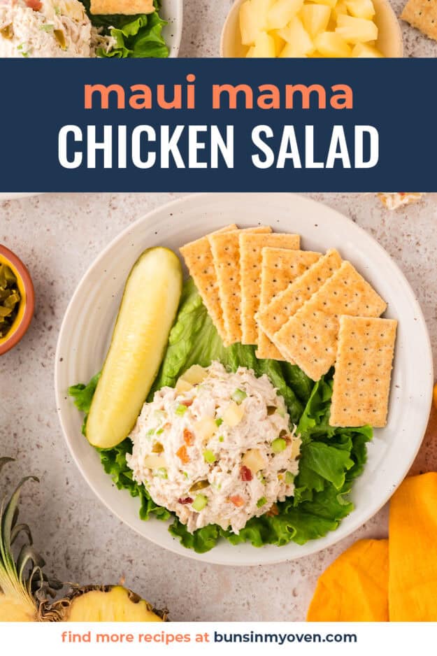 Plate with a scoop of chicken salad, crackers, and a pickle.