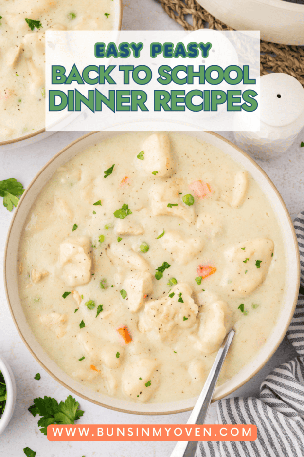 Chicken and dumplings in bowl.