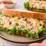 Crack chicken salad sandwich on plate.
