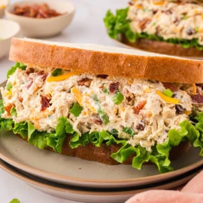 Crack chicken salad sandwich on plate.