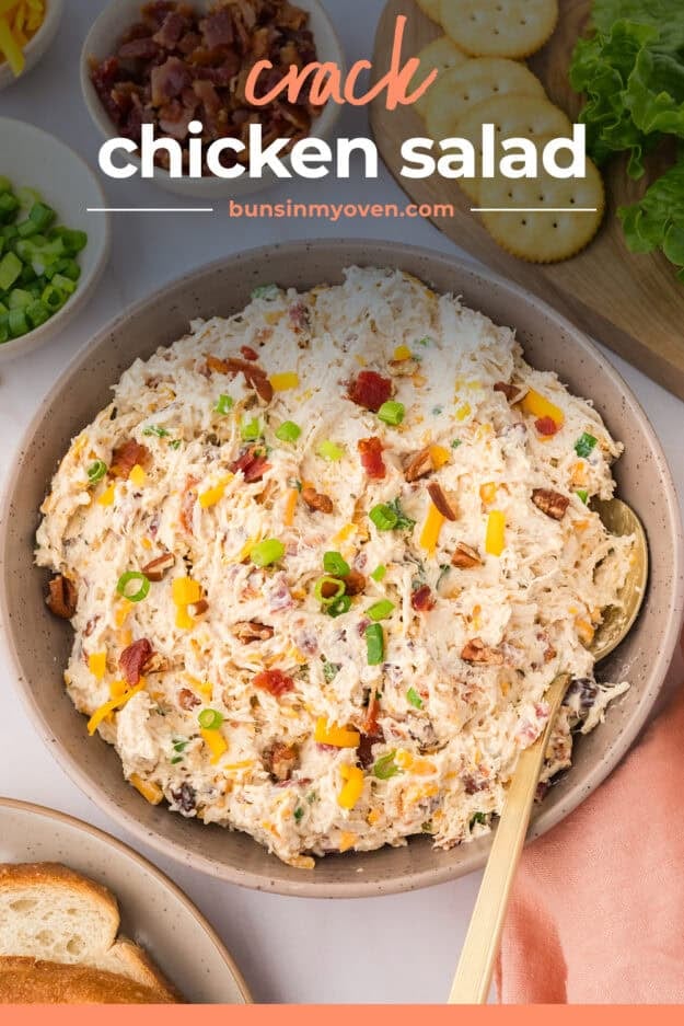 Chicken salad with cream cheese in bowl.
