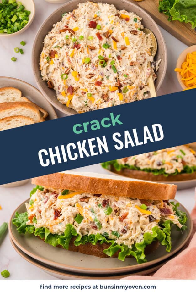 Collage of chicken salad sandwich images.