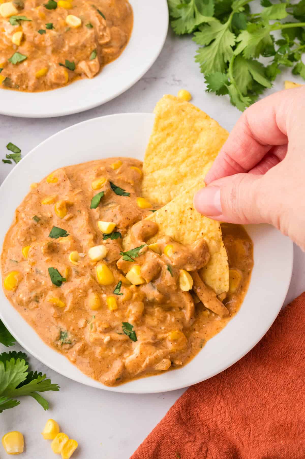 Chip being dipped into plate full of chicken enchilada dip.