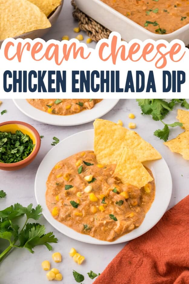 Plate full of enchilada dip and chips.