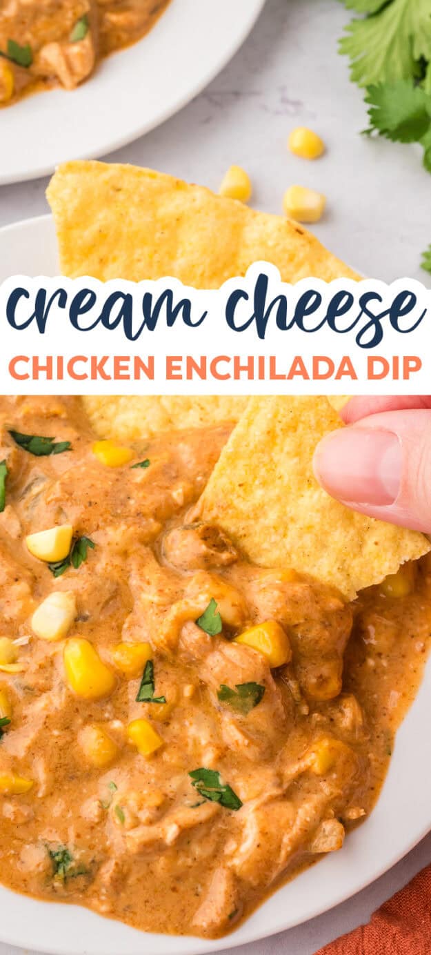 Hand dipping a chip into chicken enchilada dip.